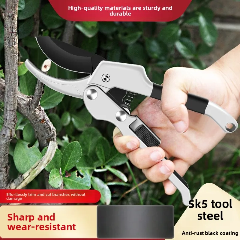 Roller Cutting, Lab… - image