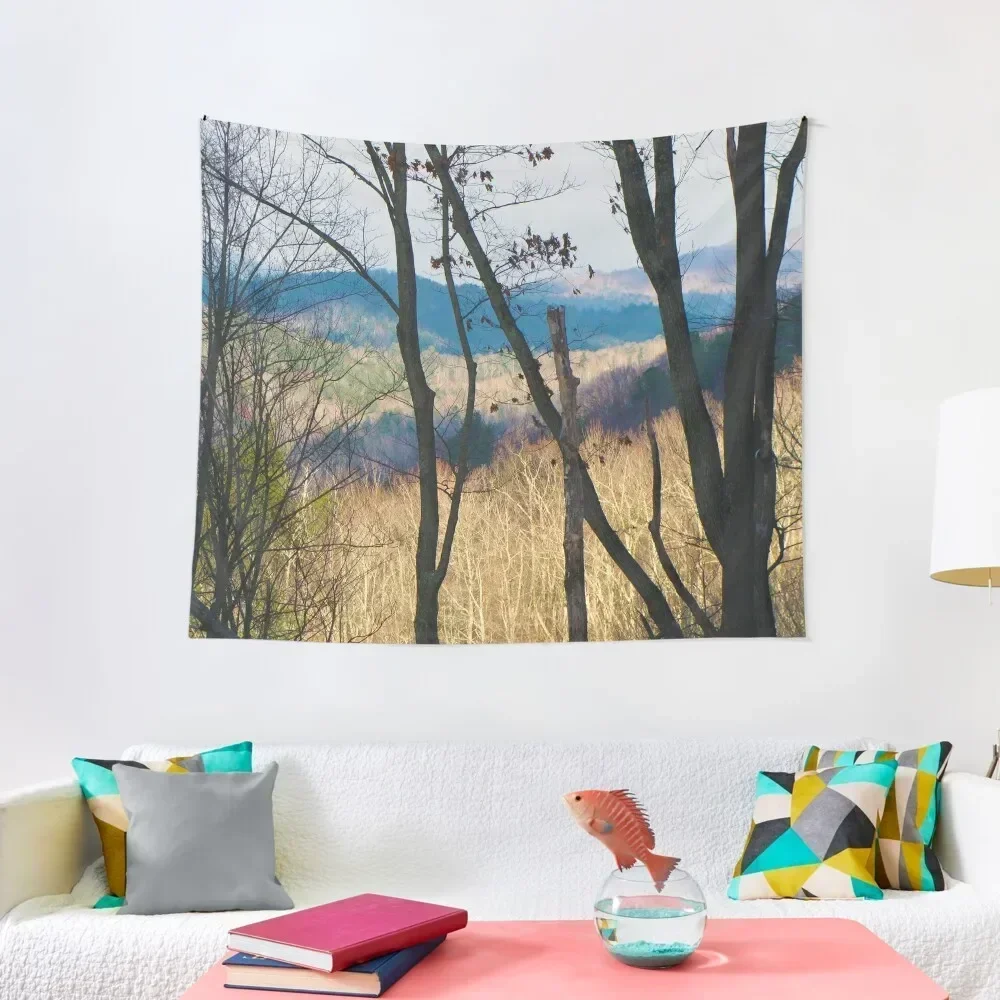 

Smokey Mountains Tapestry Outdoor Decoration Bedroom Decoration Wall Coverings Bedroom Decor Aesthetic Tapestry