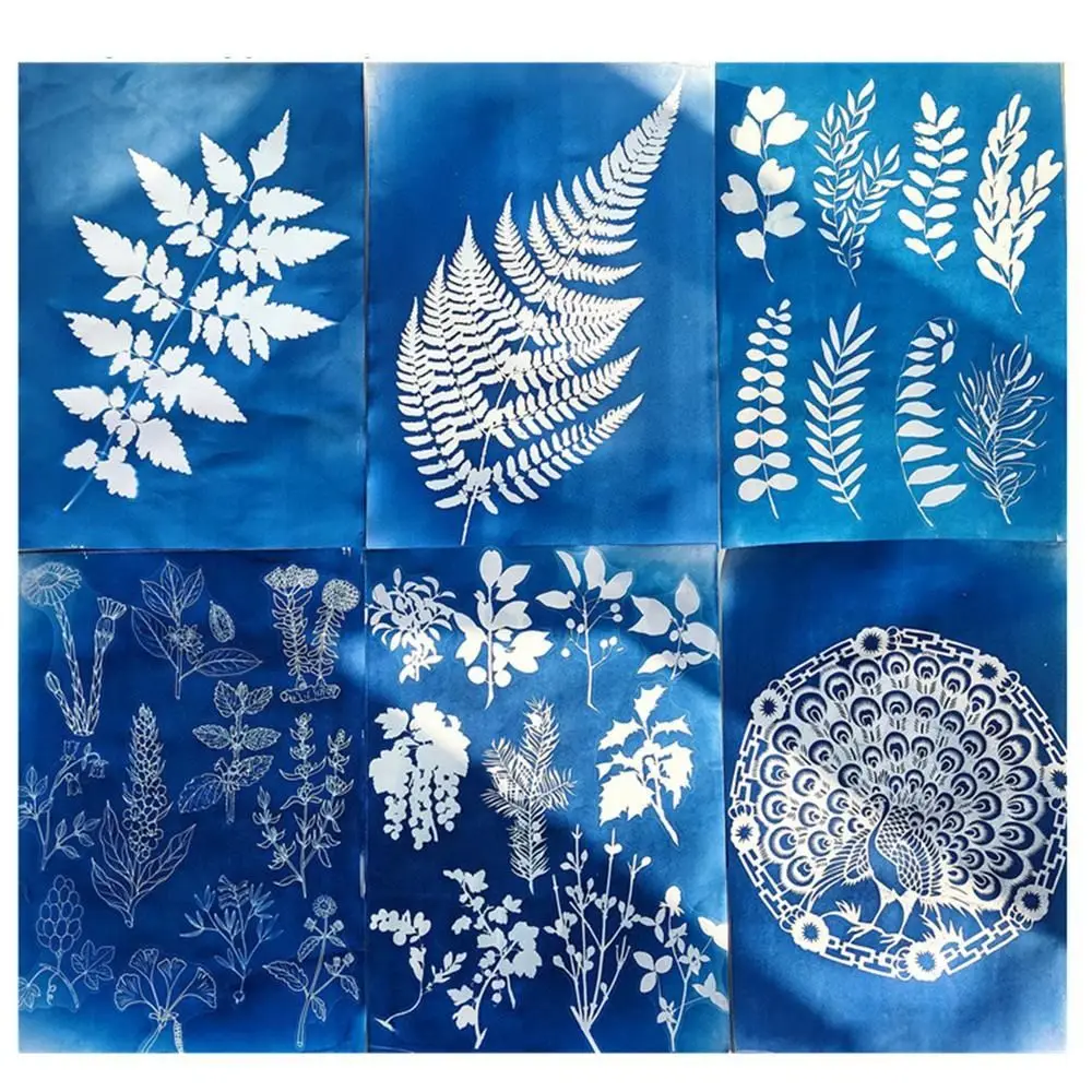24 pçs fibra natural cianoótipo papel silhueta pintura impressa papel de desenho solar fácil desenho natureza impressão papel