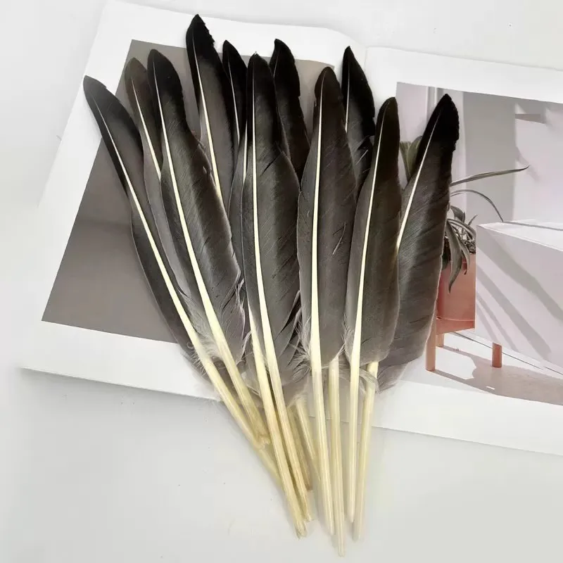 

100Pcs 12-14inches 30-35cm Natural Goose Quill Feathers Dip Pen Uncut - Calligraphy,Secret Writing,Magickal Seals,Talismans