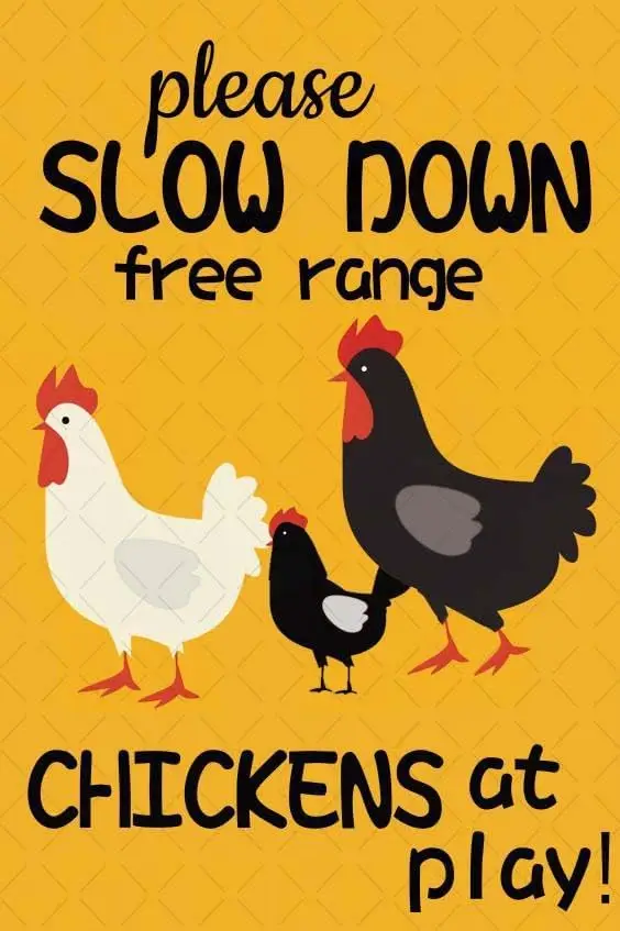 Funny Chicken Sign Please Slow Down Free Range Chickens At Play Crossing Decor For Gifts Home Kitchen