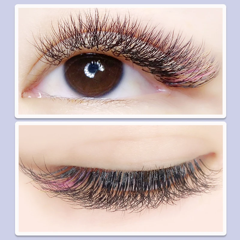 Ciglia a forma di W 3D C/D/DD Cluster Ciglia Premade Russo Volume Fan Estensione ciglia finte Forniture Cilia Strumenti per il trucco Nuovo