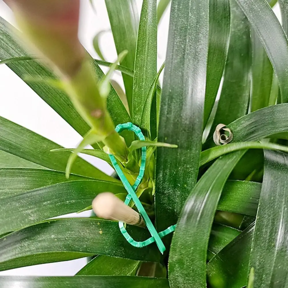 Adjustable Garden Plant Twist-Up Plant Fixator Tie A Flower Ribbon Binding Line For Binding Flowers Plant Reusable Garden T E5S9