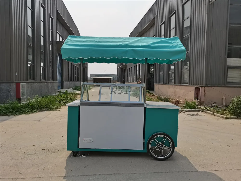 10 Pans Push Popsicle Cart For Sale Push Carts For Ice Cream Mobile Gelato Bike Kiosk