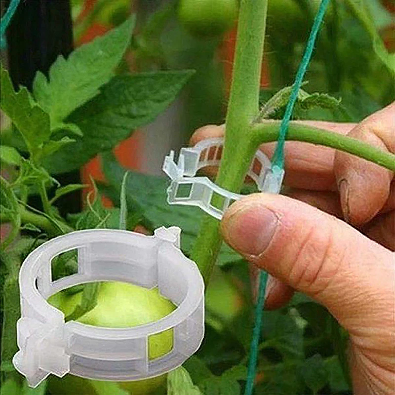 100 Uds. Clip de plástico seguro para plantas, Clips de soporte para plantas mejorados, Clips de jardín para plantas trepadoras, Clips de soporte, Clips de fijación para plantas