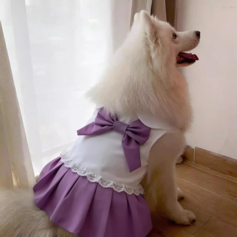 

Пурпурное платье с бантом для собак: пуделей, шнауцеров, корги, бордер-колли, самоедов, хаски, лабрадоров, золотистых ретриверов. Одежда для крупных собак, одежда для домашних животных.