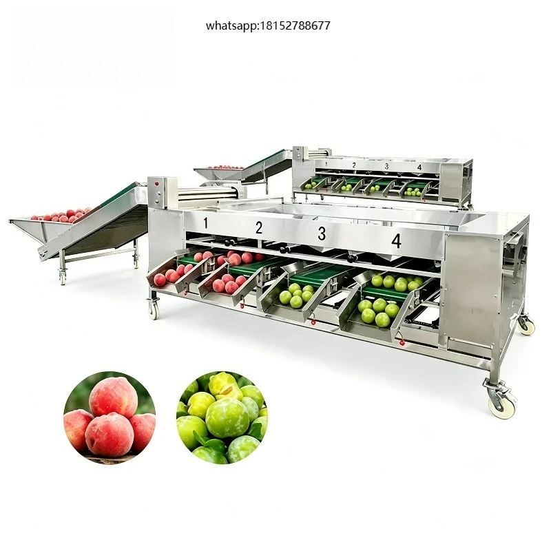 High Accuracy Efficient Mango Potato and Weight Grading Machine