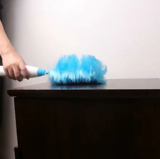Spin Duster second generation point electric feather