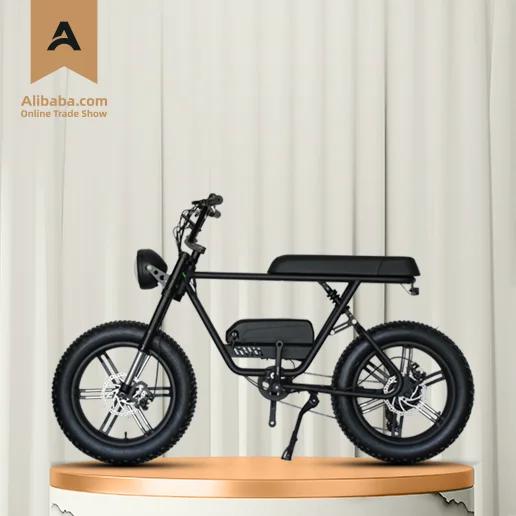 

Китай 48 В 1000 Вт Fat Tire Ebike E Bike Cycle Bicicleta Дешевая цена Assist Bike Электрический велосипед для продажи