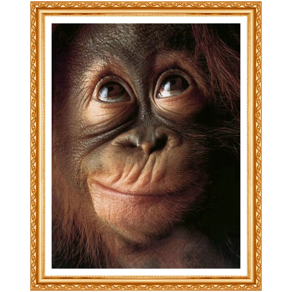 5D DIY round/square Diamond Embroidery Ape Apes Orangutan Chimpanzee Monkey Diamond Painting Cross Stitch Animal Home Decor v351