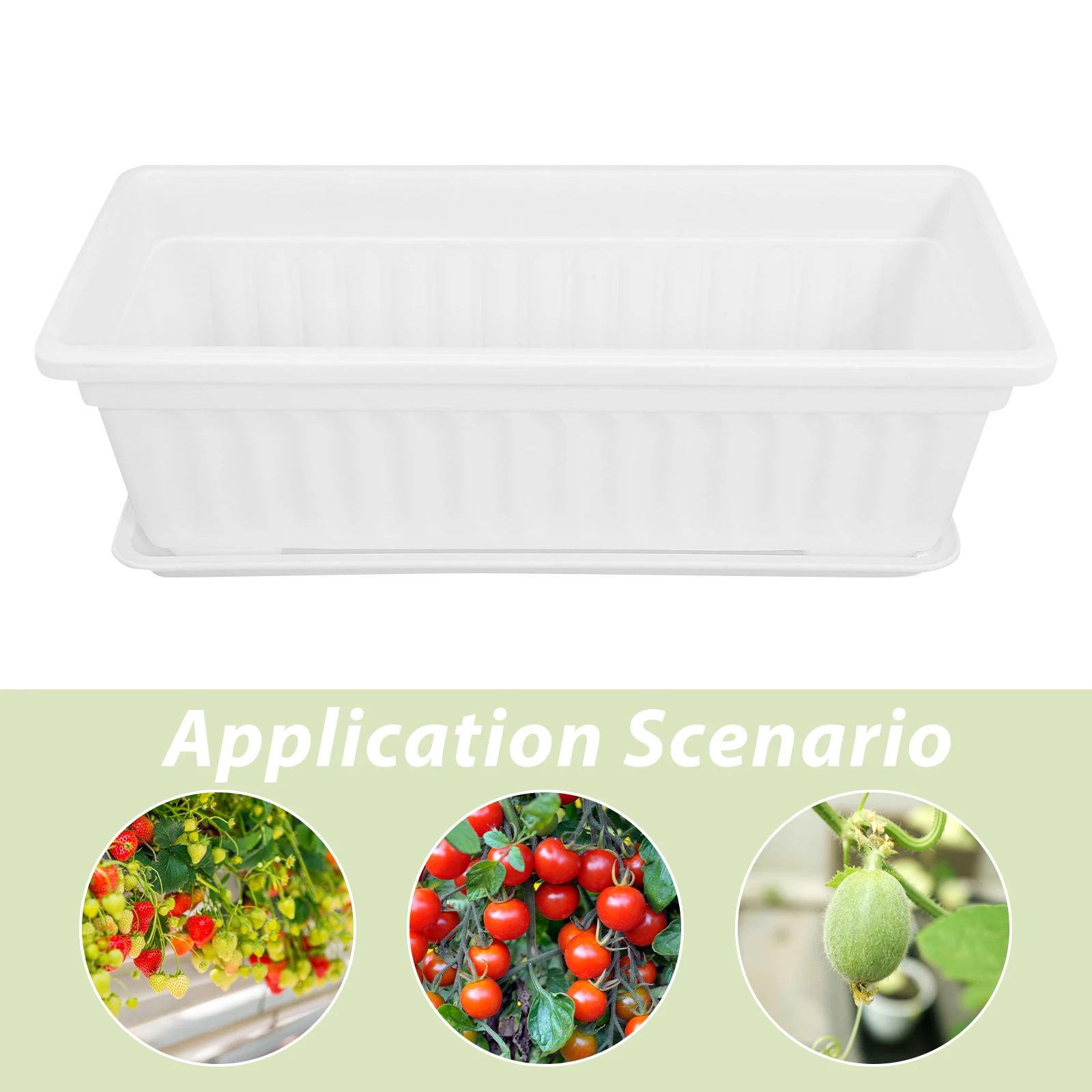 

2 Pcs Plant Saucer Planting Pot Pots Indoor with Vegetable White Rectangle Potting Planter Tray