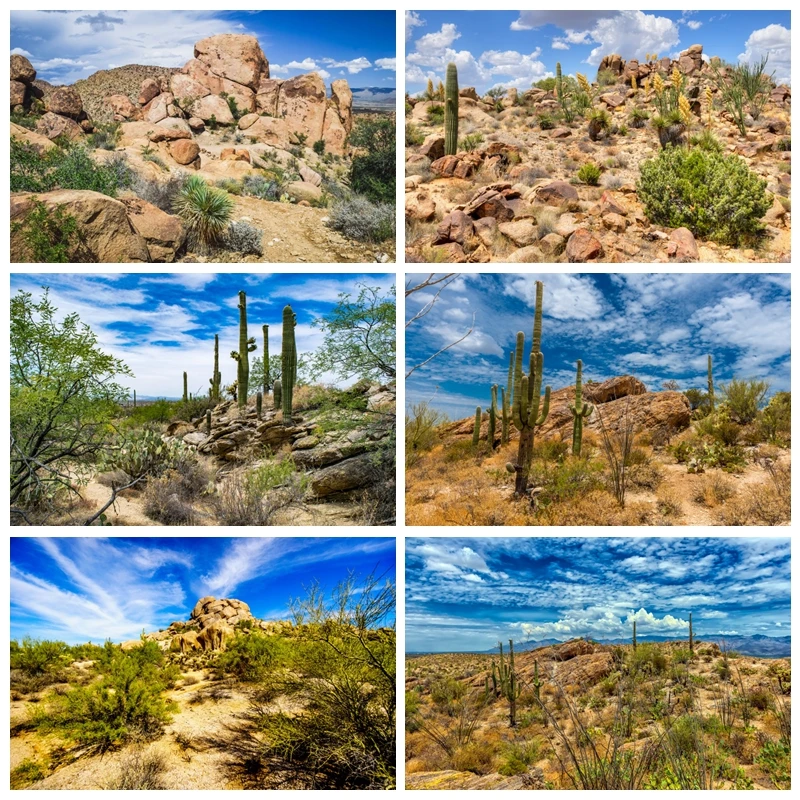 

Spring Desert Cactus Backdrops for Photography Natural Landscape Background Kids Photo Photographic Photocall Studio Shoots Prop