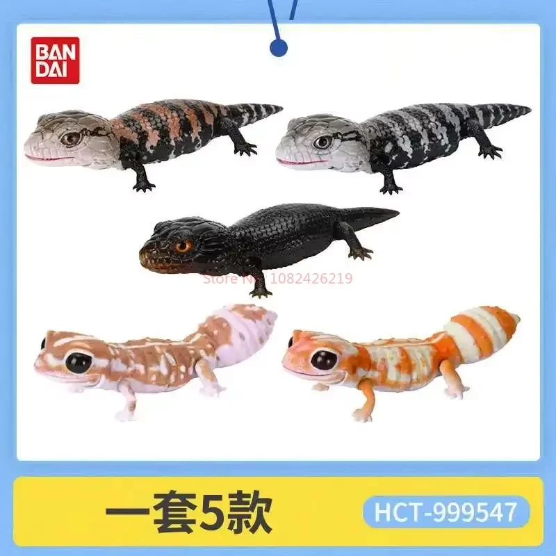 Original Bandai Gashapon Big Biological Map Gecko Lizard Blue-Tongued Skink Simulation Movable Animal Action Figure Model Toys