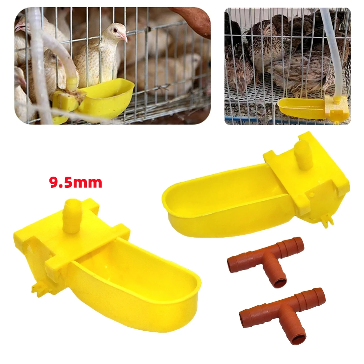 9.5 مم واجهة الطيور ذات الوجهين المعلقة وعاء الشرب التلقائي وموصل التي شيرت السمان الحمام الكتاكيت أكواب الماء 5 قطع