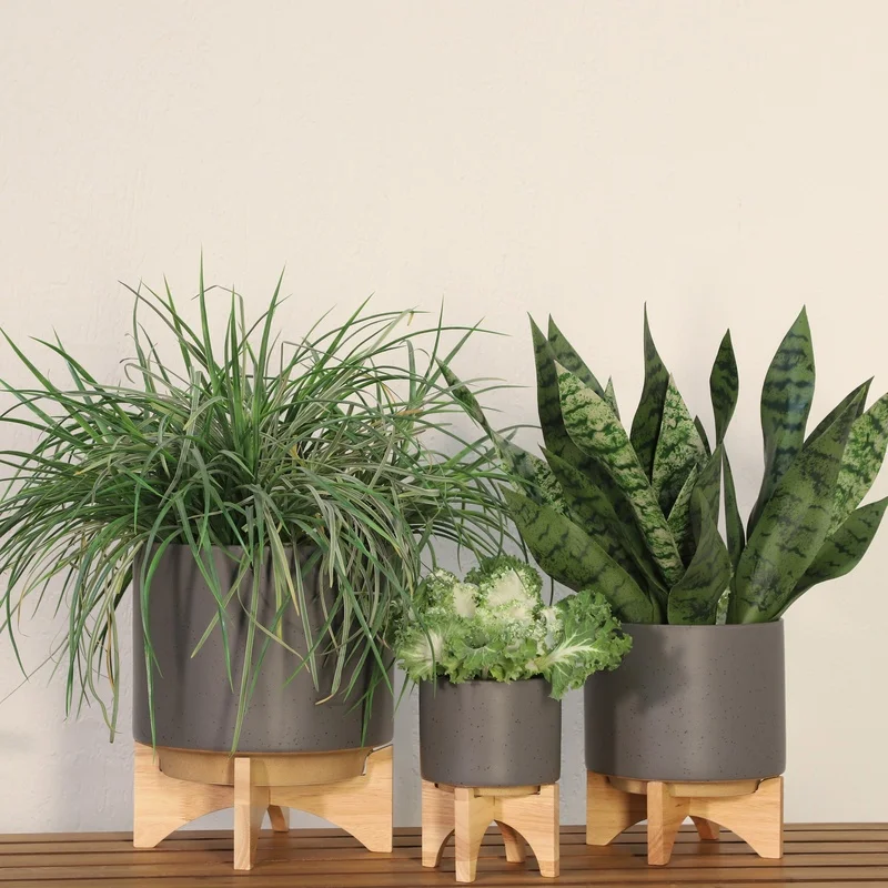 8" Matte Gray Ceramic Planter with Wooden Stand
