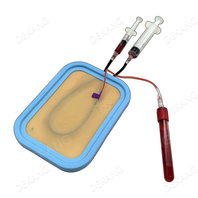 Intravenous Injection Practice Model Infusion Teaching Needle Drawing Blood Blood Practice Blood Vessel Puncture Skin Mold