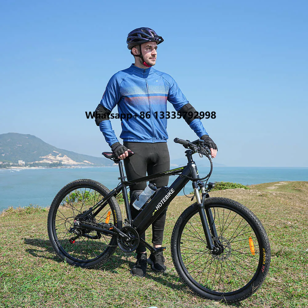

29 Inch High Speed 500w Bike Electric Bicycle for Adult 21 Speed 26" 27.5" 36V 250W 350W 48V 750W 1000W 25-45km/h Electric Bike