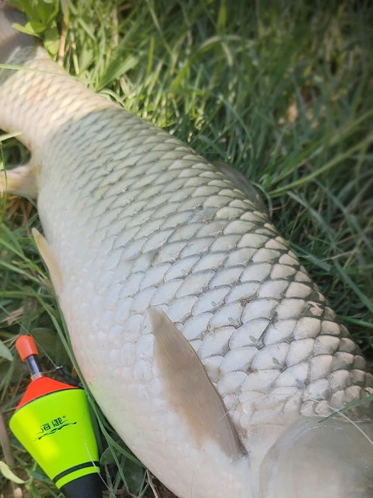 التلقائي الصيد تعويم المحمولة الصيد يطفو بوبر العوامة معالجة أدوات التلقائي معدات صيد الأسماك هوك العالمي التلقائي تعويم #5