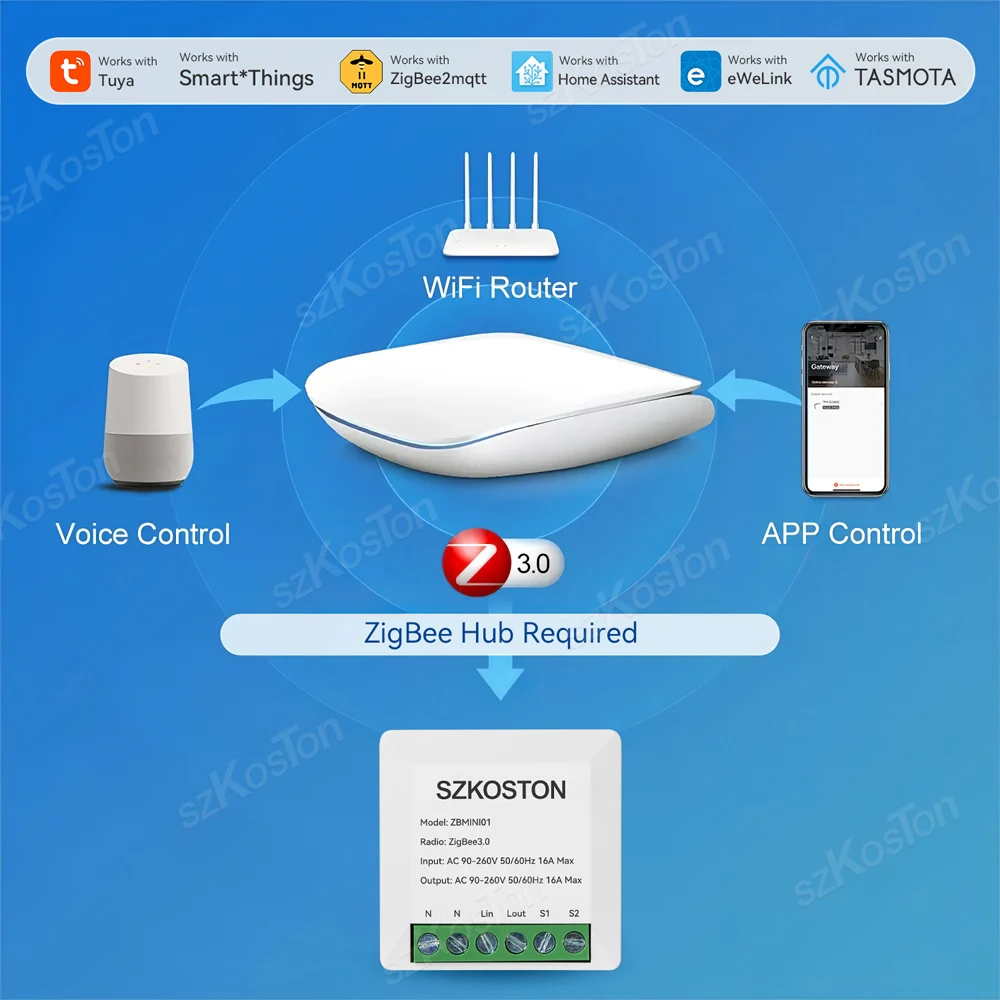 16A ZigBee Smart Switch Works With SmartThing Alexa Google Alice Home Assistant Zigbee2MQTT Tasmota for eWeLink Tuya Smart Life