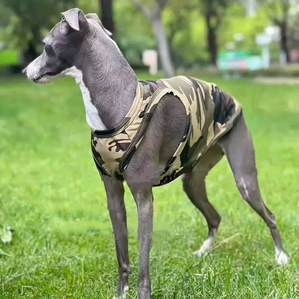 Italy Greyhound Green Camouflage Racer Vest Votton Odal Cold Fabric Skin-friendly Spring and Summer Thin T-shirt for Whipbit Dog