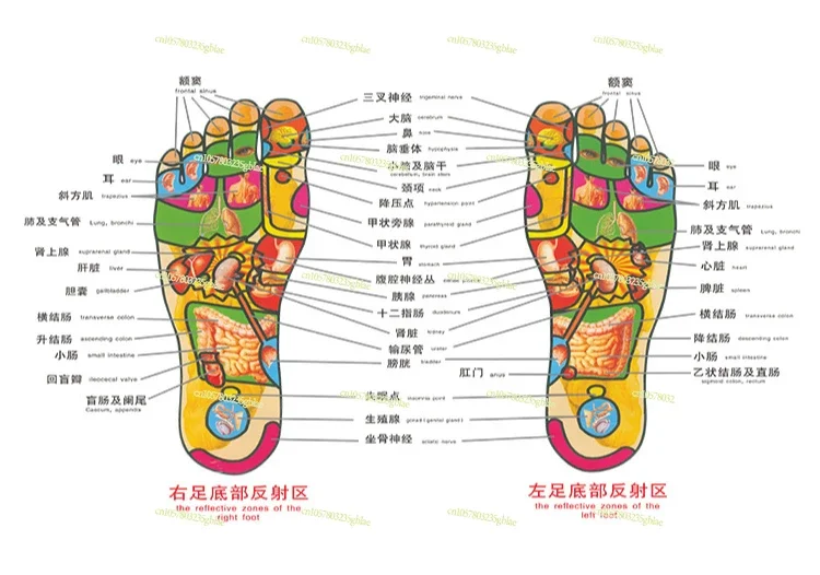 Massage Slim Legs Foot Pad Colorful Ems Pulse Micro-current Plantar Portable Physiotherapy Massage Foot Pad Factory Direct Sales