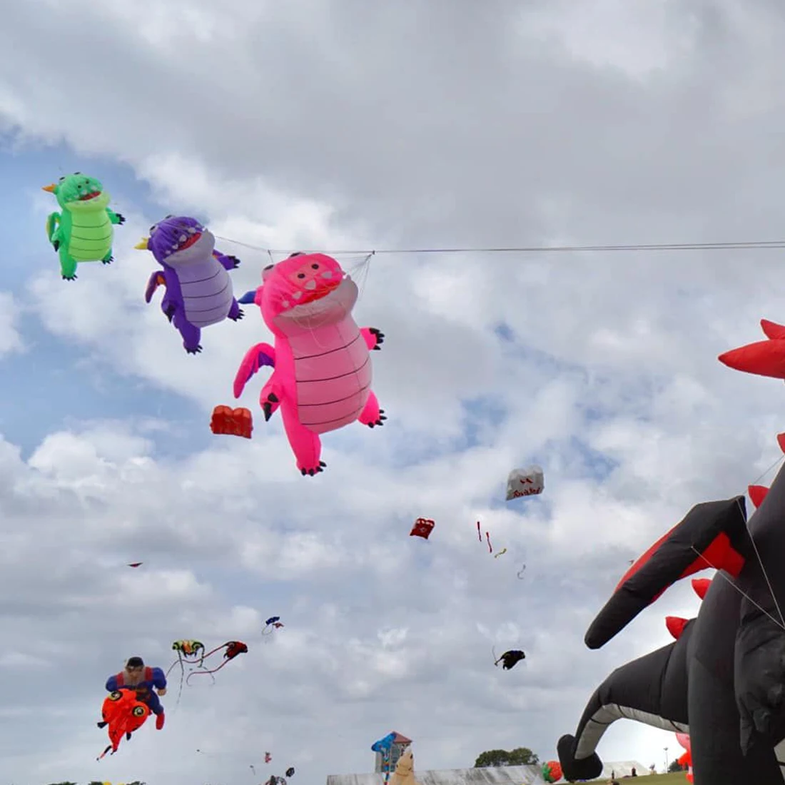 9 كجم 3.5 متر الطالب الذي يذاكر كثيرا التنين طائرة ورقية خط الغسيل قلادة لينة نفخ عرض طائرة ورقية لمهرجان الطائرة الورقية Ripstop نسيج النايلون مع حقيبة