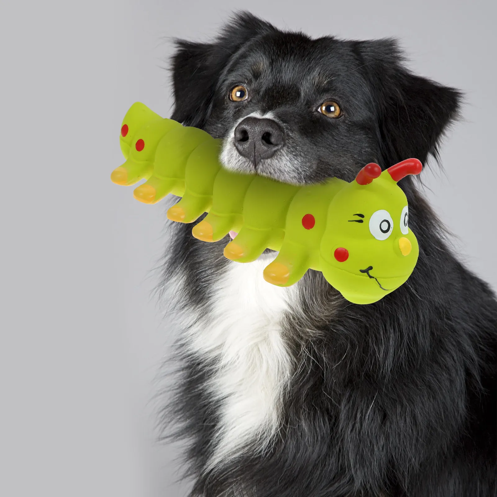 Latex Small Squeaky Dog Puppy Cartoon Interactive Chewing Plaything for Pet Stress Relief Fun Exercise Entertainment