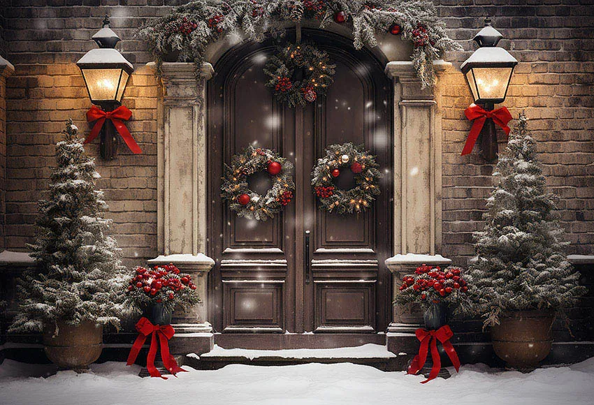 Mehofond-Fondo de Fotografía de Invierno para niños, decoración de retrato familiar, Retro, arco, puerta, nieve, árbol de Navidad, estudio fotográfico