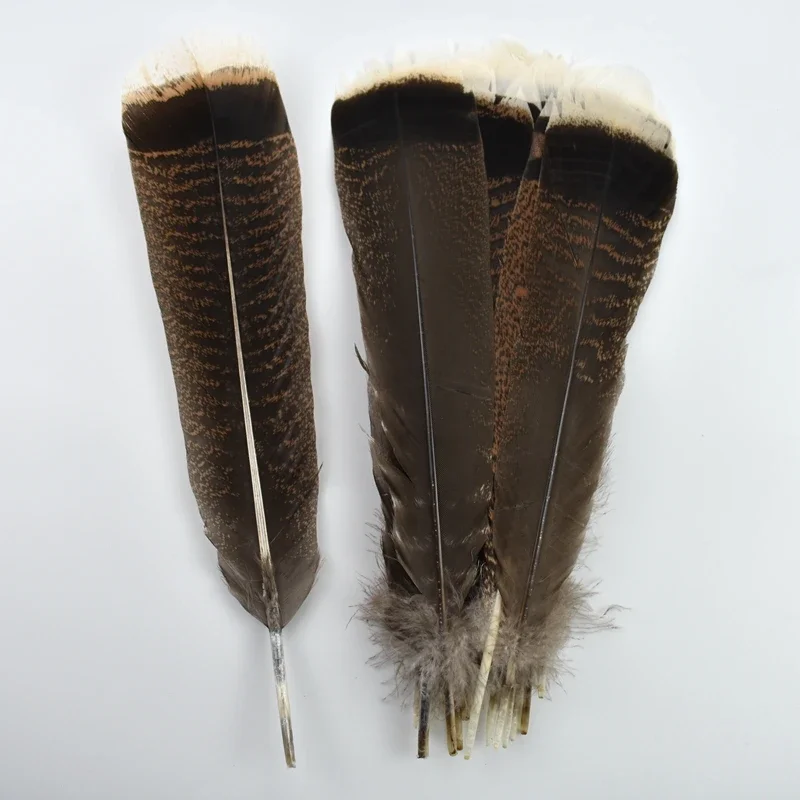 Großhandel 50 Stück/Los Natürliche Adler- und Vogelfedern 25-30cm Truthahn- und Fasanenfedern für Bastelarbeiten, Plumes, DIY-Karnevalszubehör – Detail 8