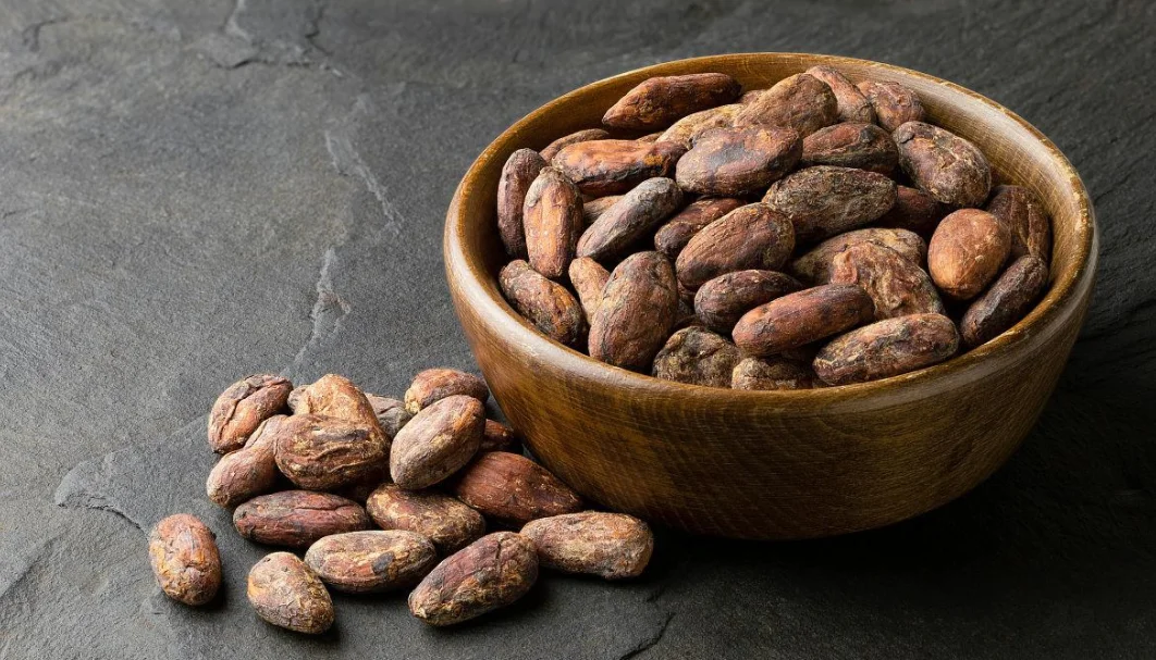 الفولاذ المقاوم للصدأ معدات معالجة حبوب الكاكاو آلة تحميص حبوب الكاكاو #4