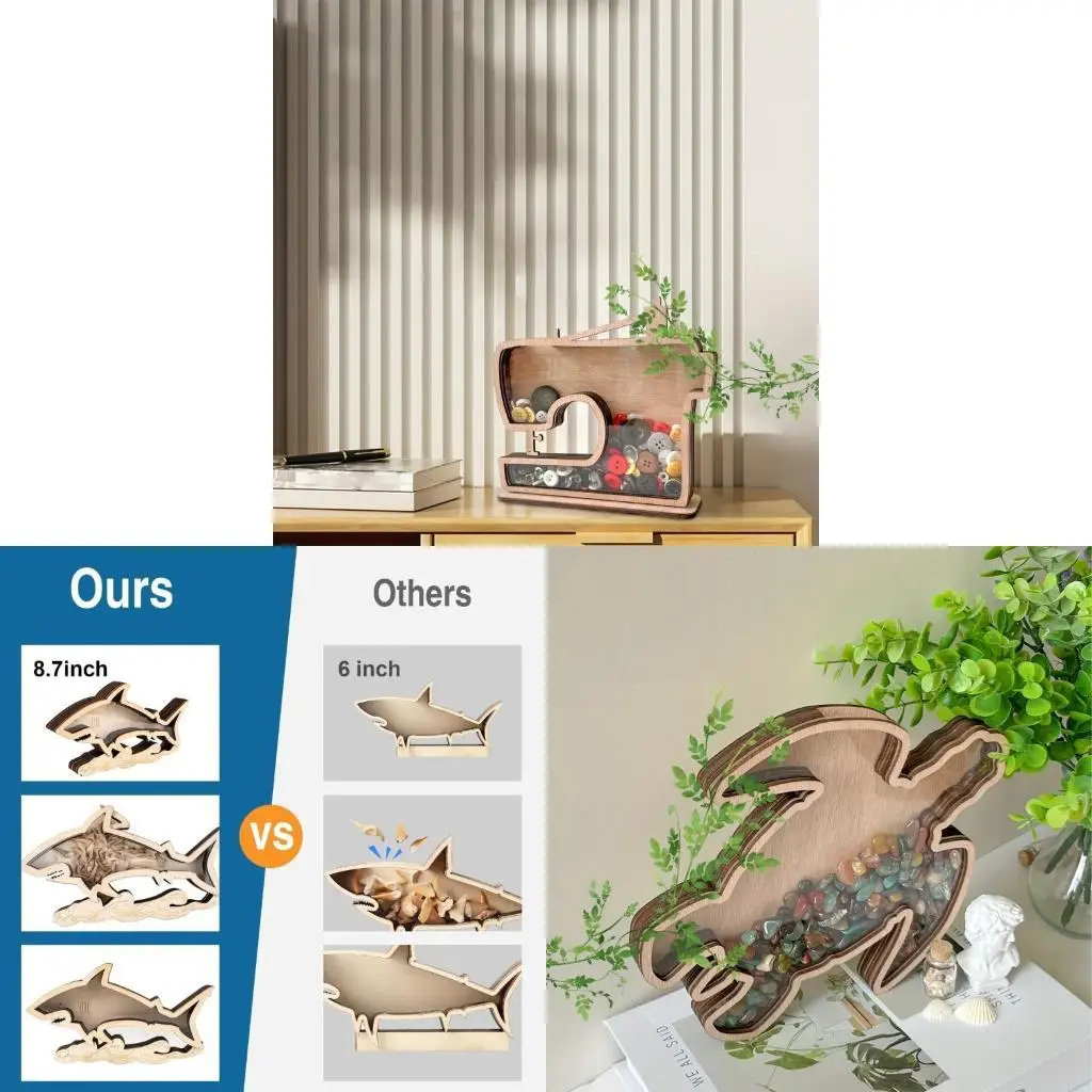 L43A Seashells Display Case with Acrylic Window,Seashells Display Box Decorative Shadows Box for Starfishs Collections