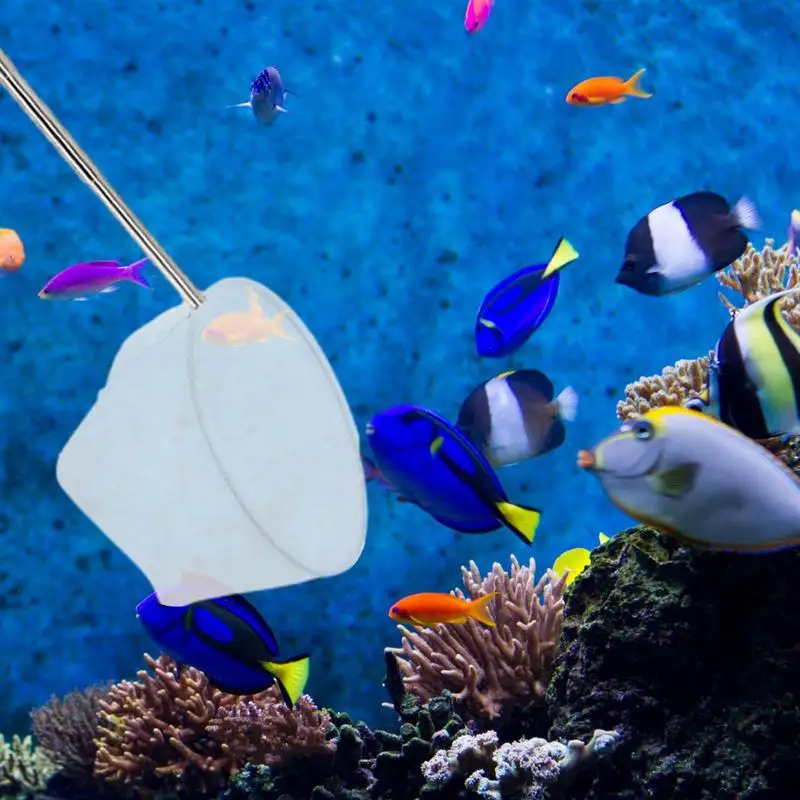 Retractable Fish Net Aquarium Cleaning 3D Stainless Steel Pocket Shrimp Catching Fish Tank Cleaning Net For Small Pond And Pool