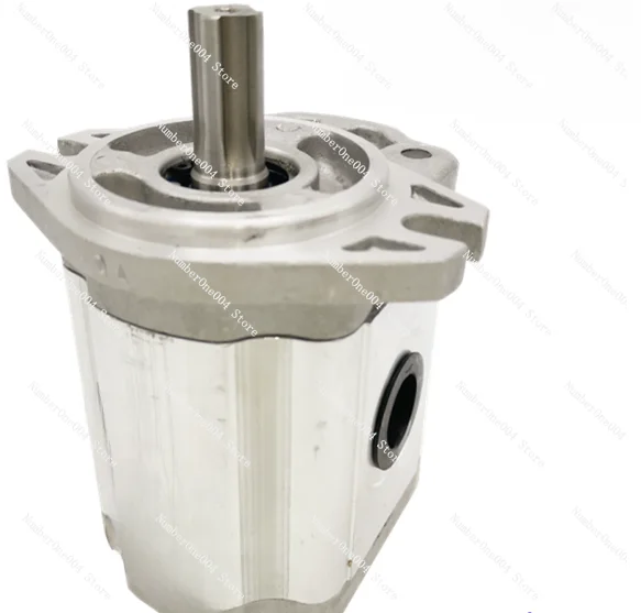 

Applicable to Gear Pump Aluminum Alloy Electric CBTD-F410/F416/F420/F425/F432-ALH4L