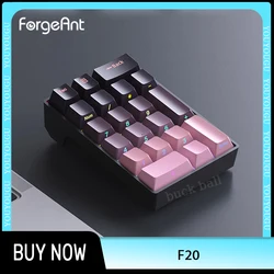 Forgeant F20 Keypad Mini Wired Numeric External Keypad 20 Keys Customization ABS For Pc Computer Accessory Number Pad No Hotswap