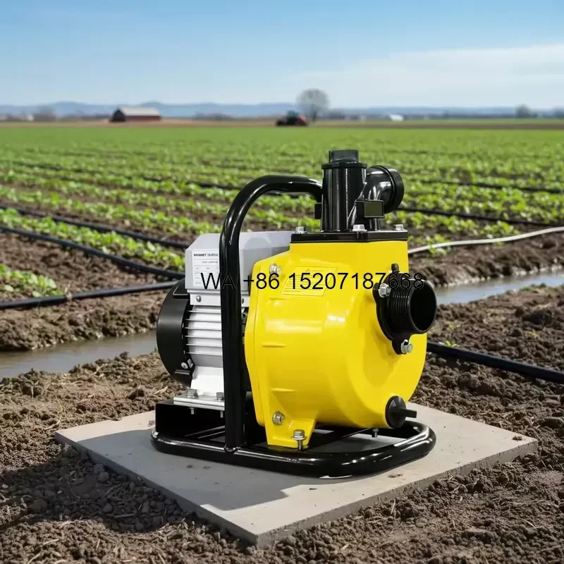 Wmwmnu Energy Saving Integrated MPPT Solar Water Pump DC48V Brushless Self-Priming Pump with 16m3/h Max Flow for Garden Farm