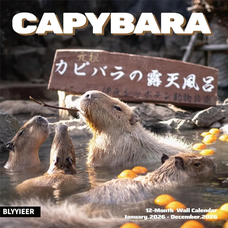 

2026 Wall CalendarCapybara Calendar 2026 Monthly Wall Calendar 12" x 24" Open Family Planner Calendar Organizer with fy capybar