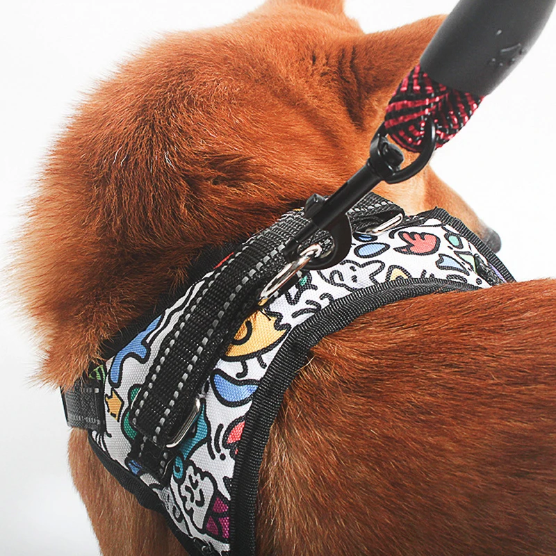 Reflective Nylon Round Dog Leash For Safe Walking And Control_voghion.com