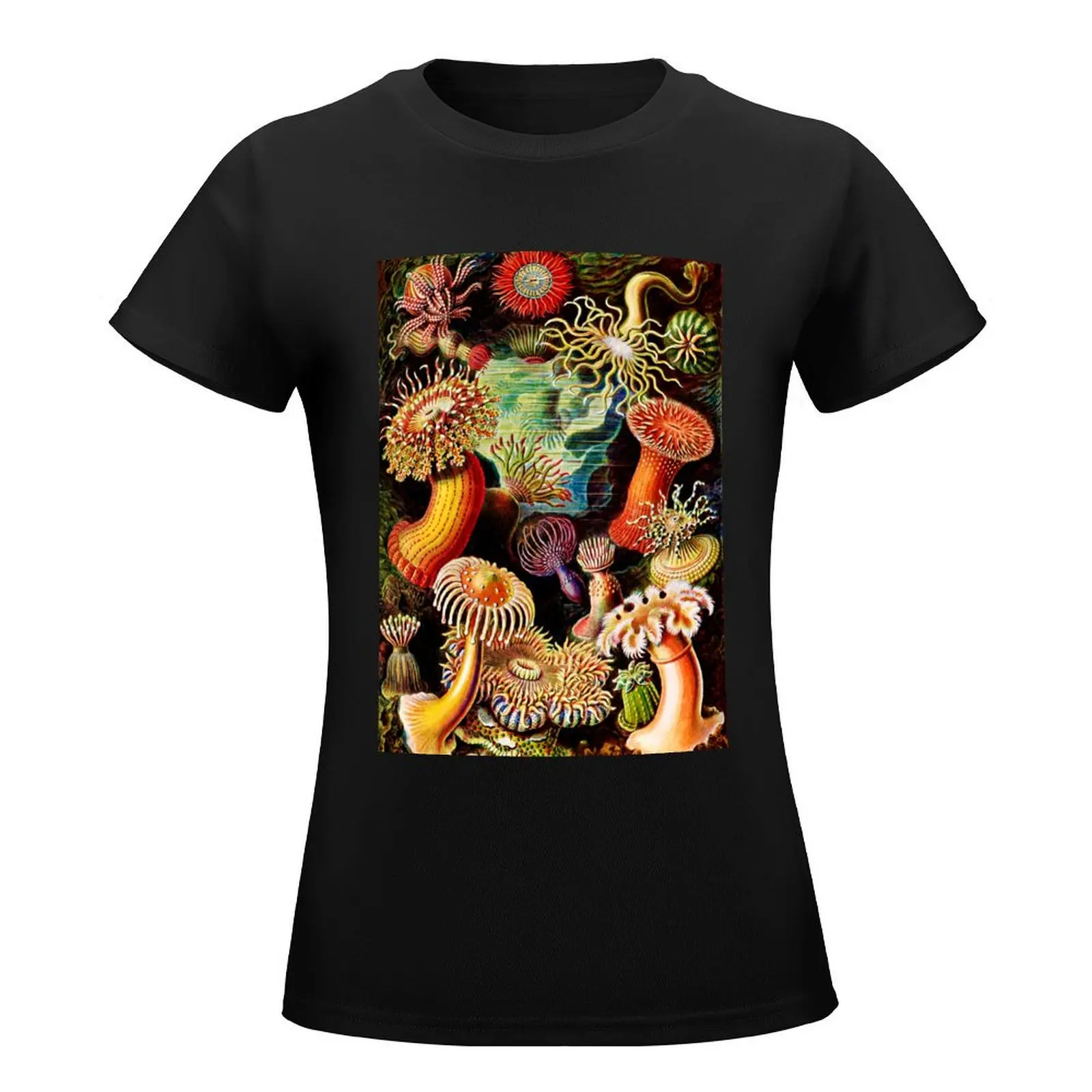 Actiniae–Seeanemonen by Ernst Haeckel -Actiniae Sea Anemones by Ernst T-Shirt funnys sweat tight shirts for Women