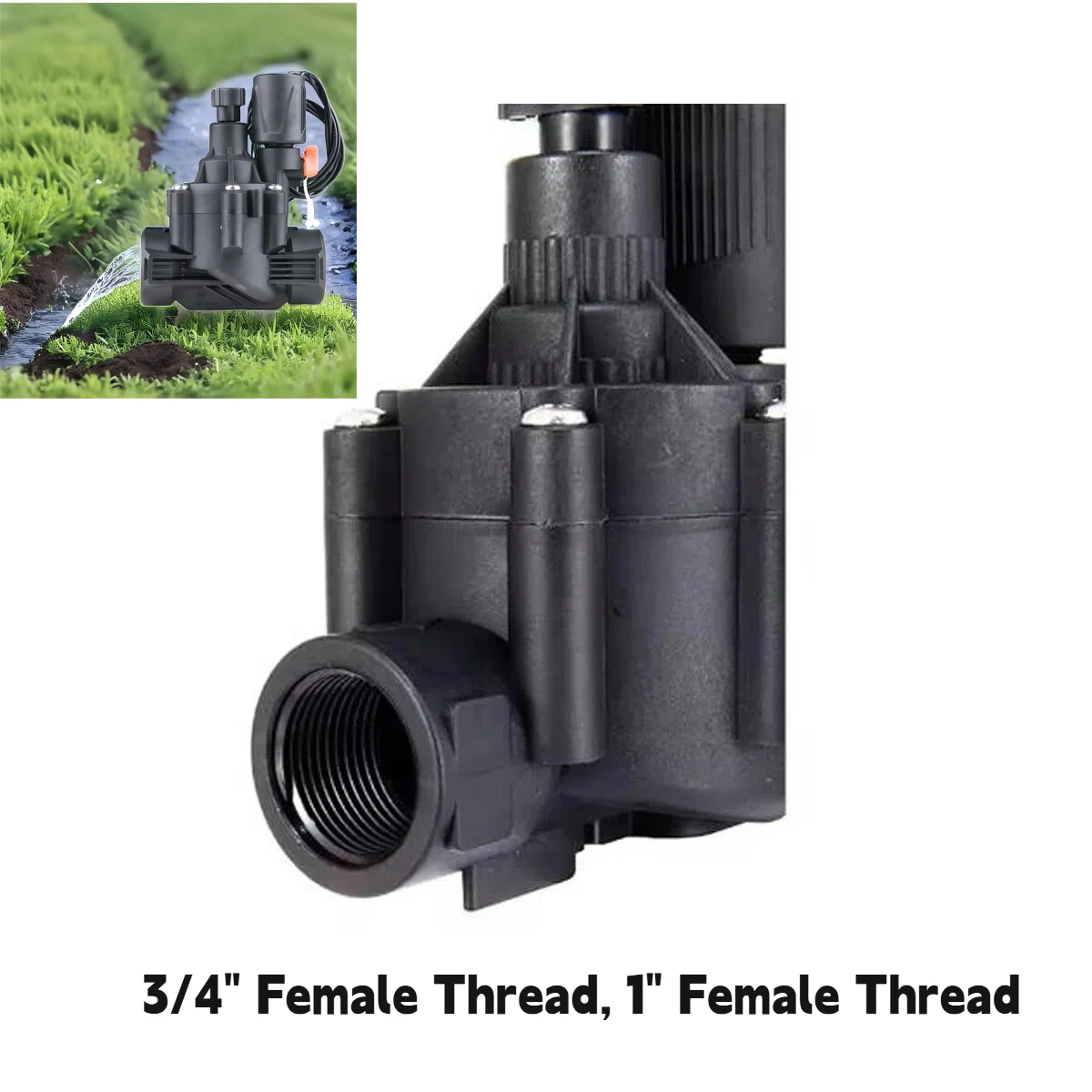 3/4