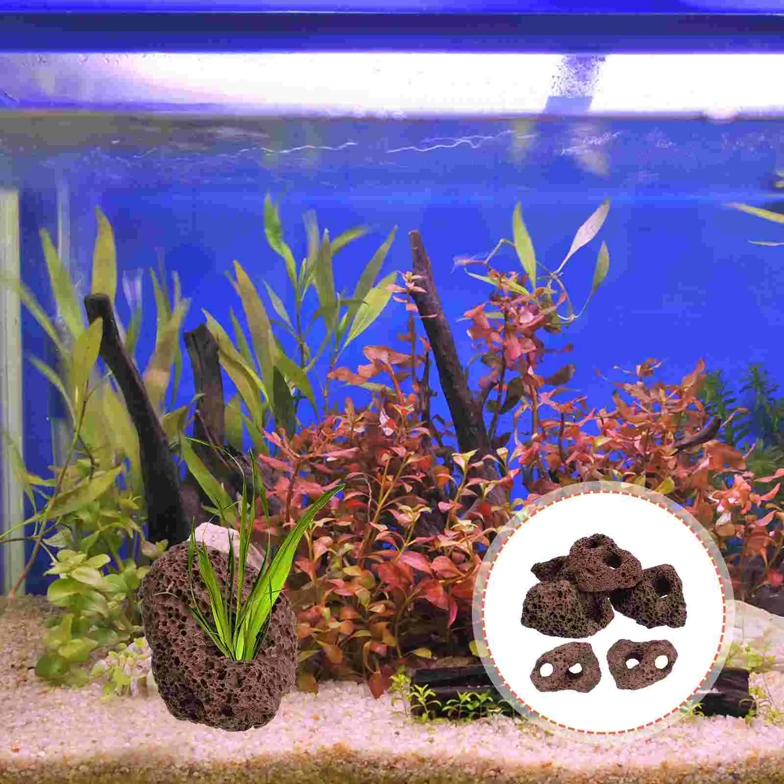 6 Pcs Volcanic Stone Colonization Ring Cichlid Caves for Aquarium Fish Hideout Aquatic Plant Fixed Holder Accessories