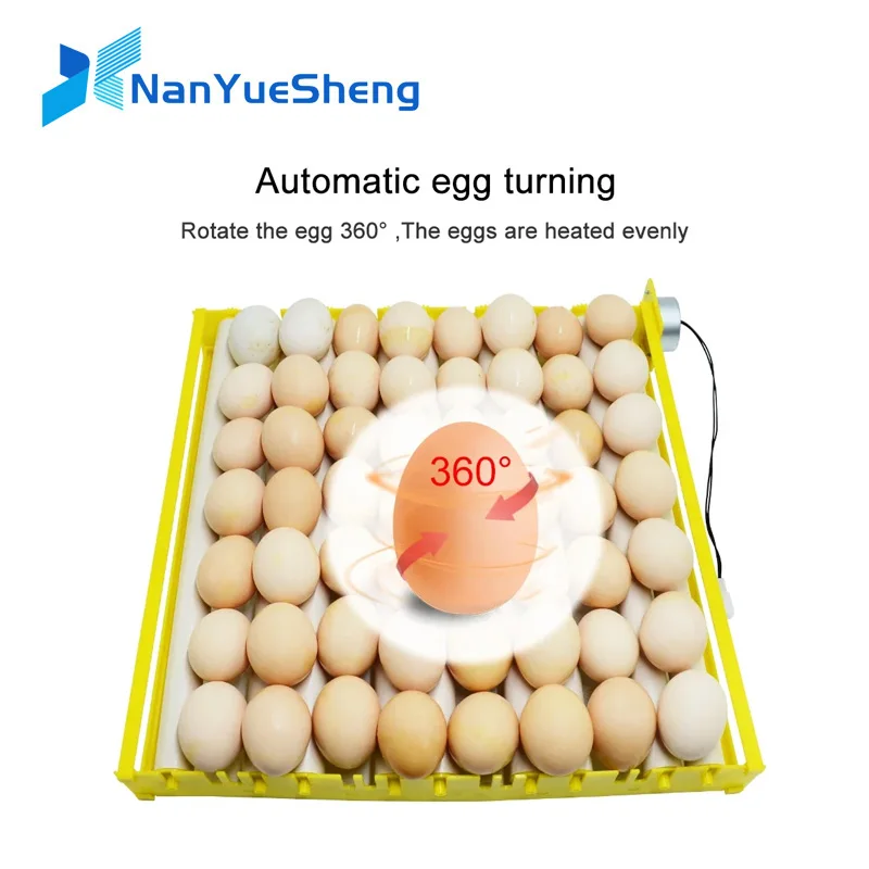 

Automatic 360 Degree Rotary Egg Turner Roller Tray Duck Quail Bird Poultry Eggs Hatching Incubator Farm Incubation Tool