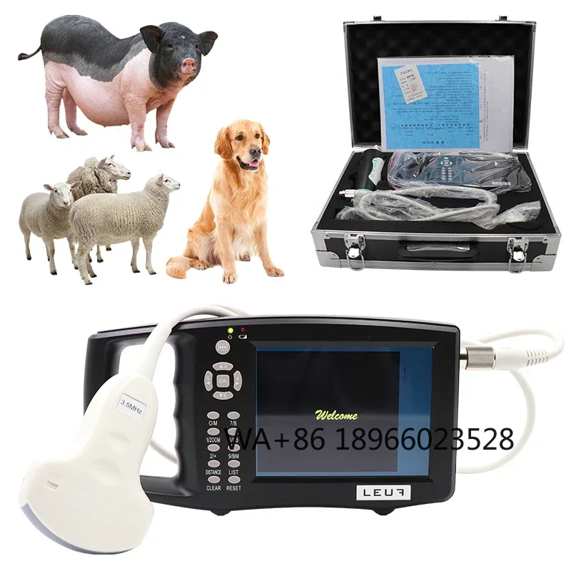 

Veterinary Test Scanner Portable Animal Ultrasonic Machine Pig Sheep Ultrasound Tester