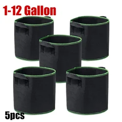 5pcs 1 3 5 10 gallon fabric plant Grow Bags tree growing Pots garden Vegetable potato flower Planting Container Nursery pots bag