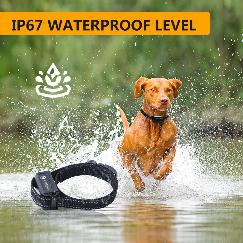 遠隔操作式ドッグトレーニング首輪。送信機1台、受信機2台、ビ - Dog Training Collar Remote 1000M Beep のレビューと価格