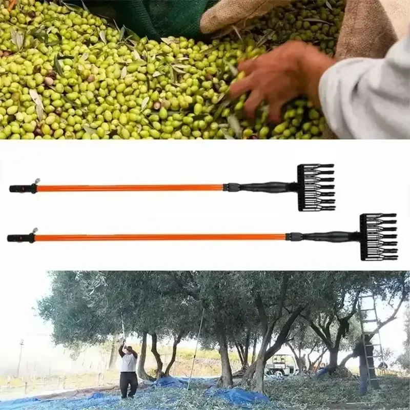 High Quality Long Pole Olive Picker Fruit Picker God Telescopic Pole Aerial Fruit Picker