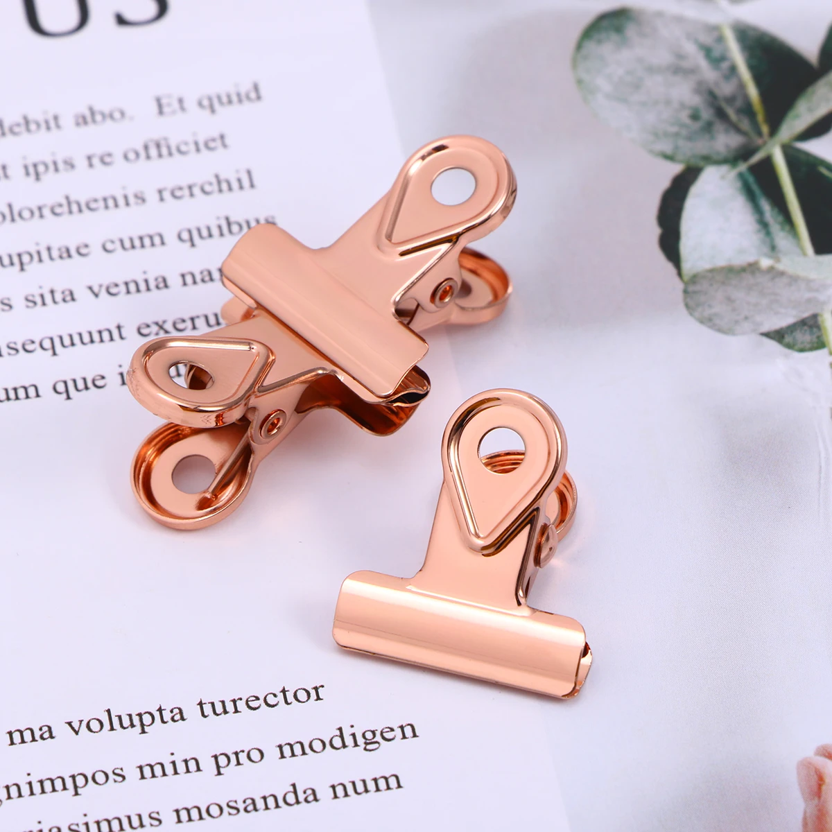 

20 PCS Financial Notes Clip Rose Gold Clips Hinge Paper Clamp Dovetail Copper Binder