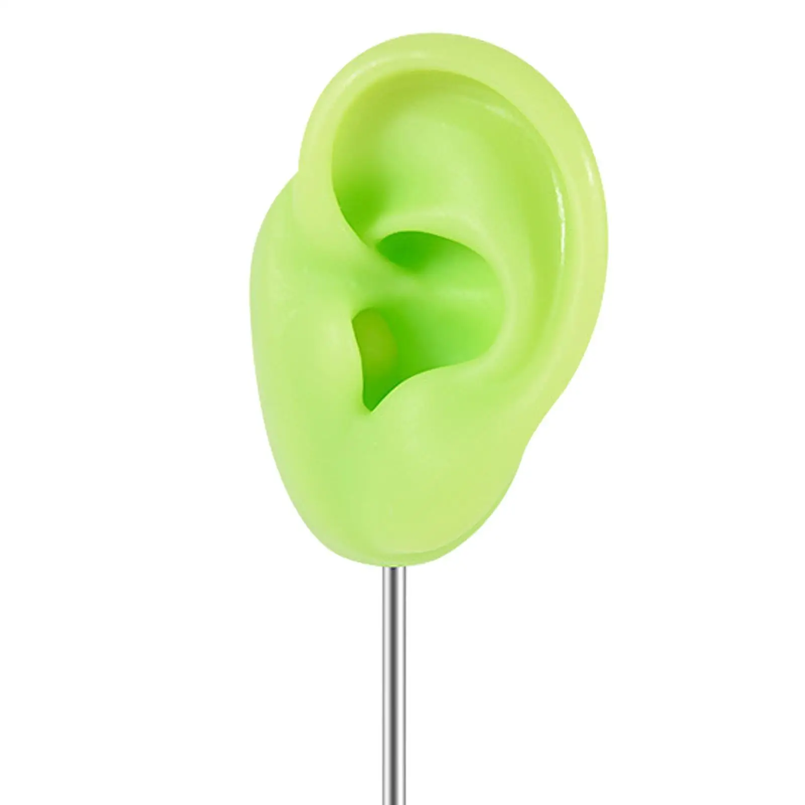 Silicone Ear Model Jewelry Holder Body Part Prop Realistic Organizer for
