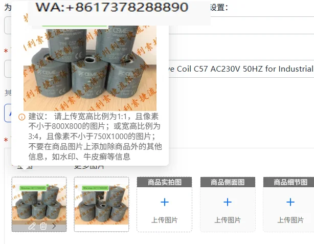 CEME Original Italian Solenoid Valve Coil C57 AC230V 50HZ for Industrial Use - Electrical Control Component