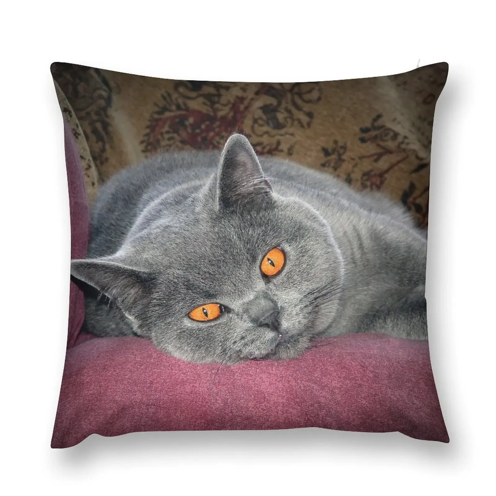 British Shorthair Blue Throw Pillow pillowcases for sofa cushions Decorative pillowcase Pillow Cover Cushion Child pillow