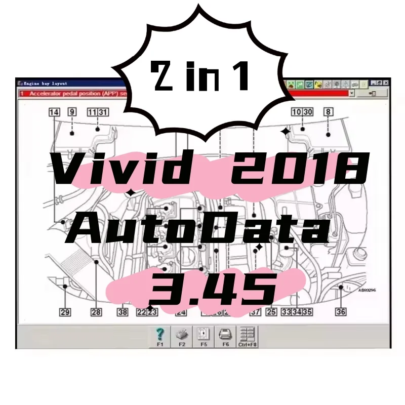 2026 Hot Auto Data 3.45 Car Software Vivid Workshop Data Atris-Stakis Technik 2018.01V Multi languages Polish Spanish Link HDD